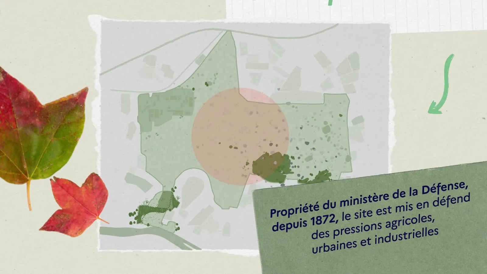 Life - Valbonne – visuel 3